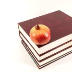 《认知天性》:11 位认知科学家写给普通人的记忆圣经